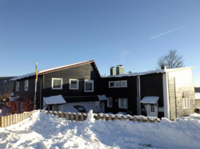 Großzügige Wohnung mit Bergblick im Haus Hopfe